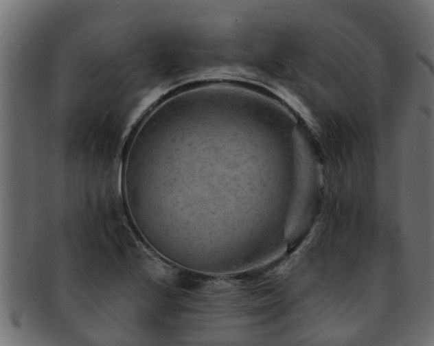 X0000093111224200709261244
