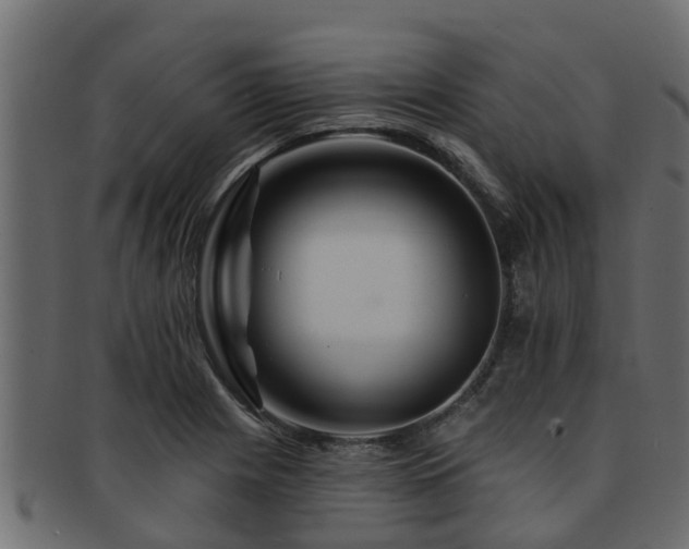 X0000093111225200709261244
