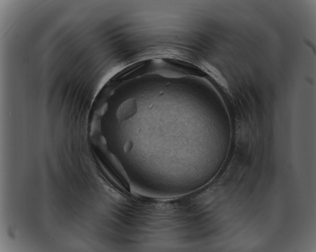 X0000093111226200709261244