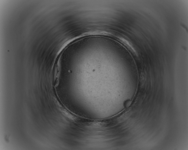 X0000093111228200709261244