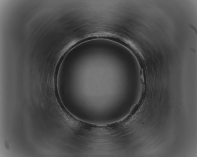 X0000093111229200709261244