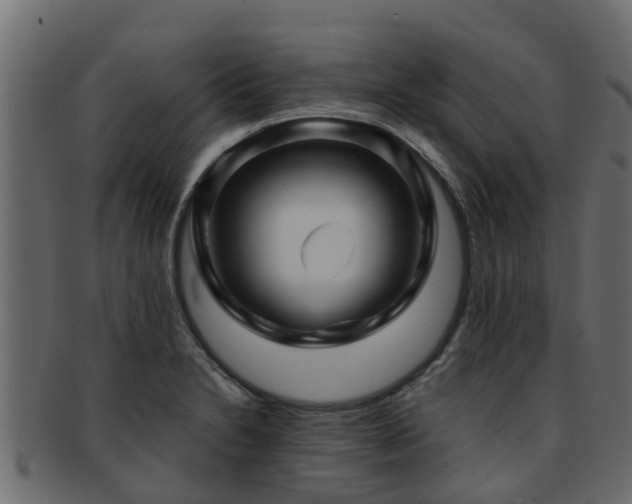 X0000093111230200709261244