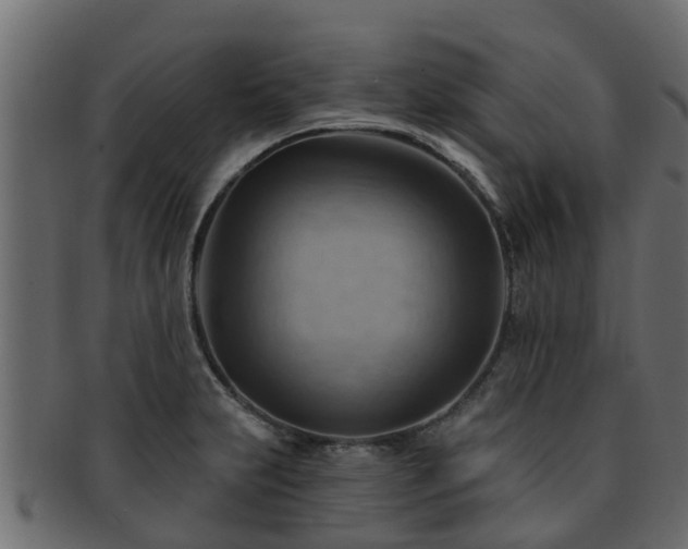 X0000093111231200709261244