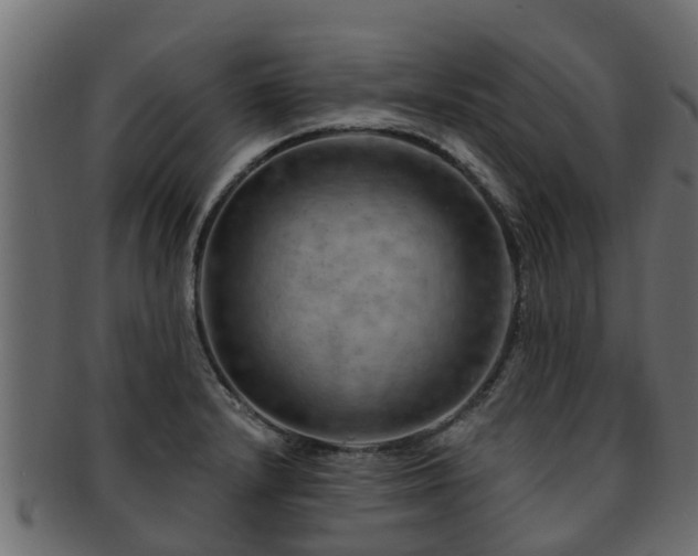 X0000093111232200709261244