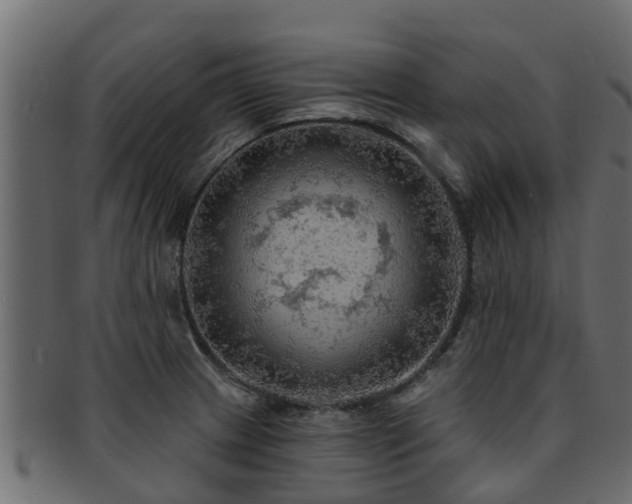 X0000093111233200709261244