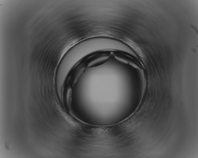 X0000093111234200709261244