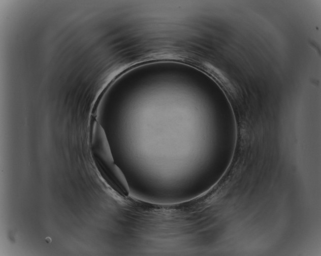 X0000093111236200709261244