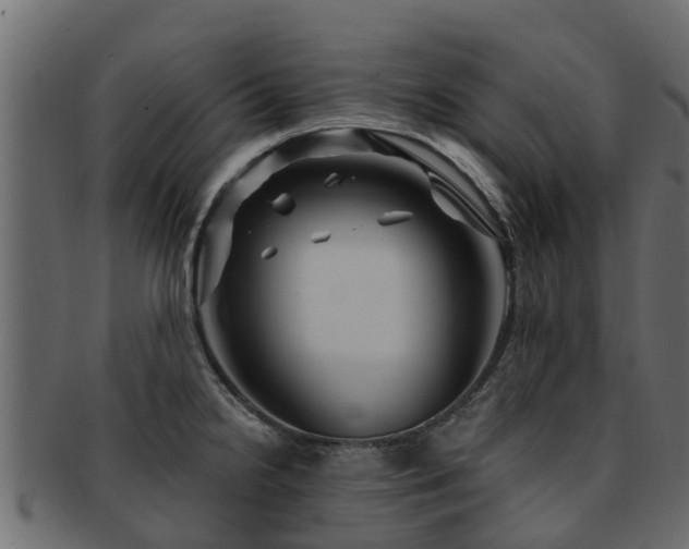 X0000093111238200709261244