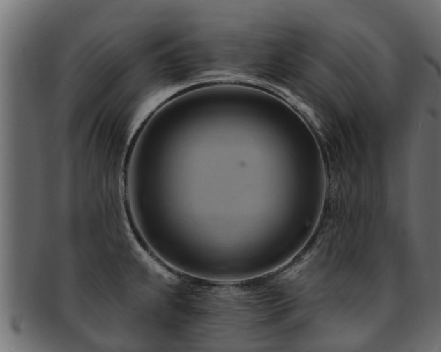 X0000093111239200709261244