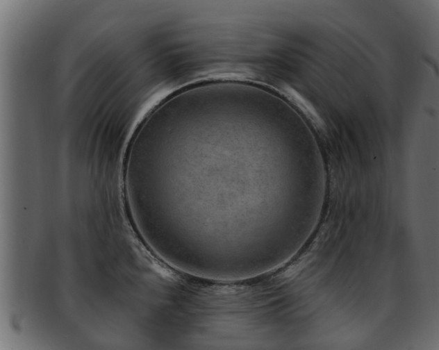 X0000093111240200709261244