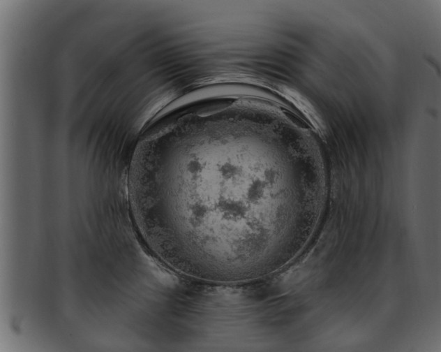 X0000093111241200709261244