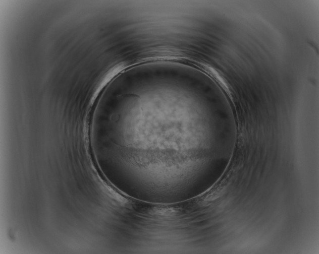 X0000093111243200709261244
