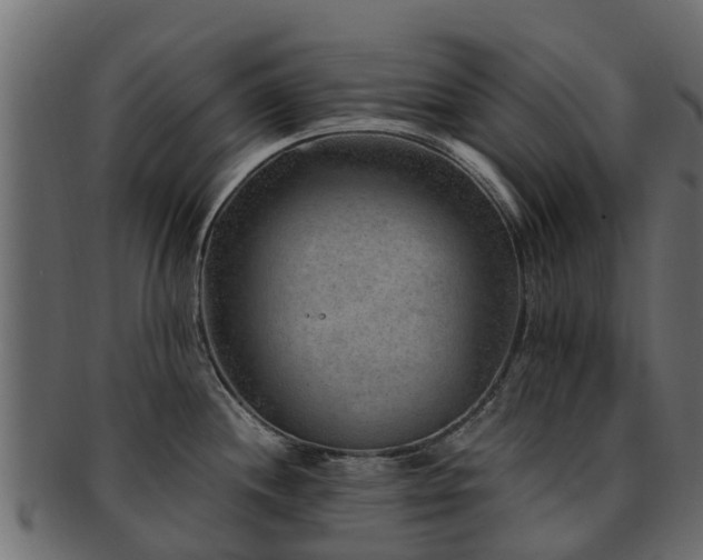 X0000093111244200709261244