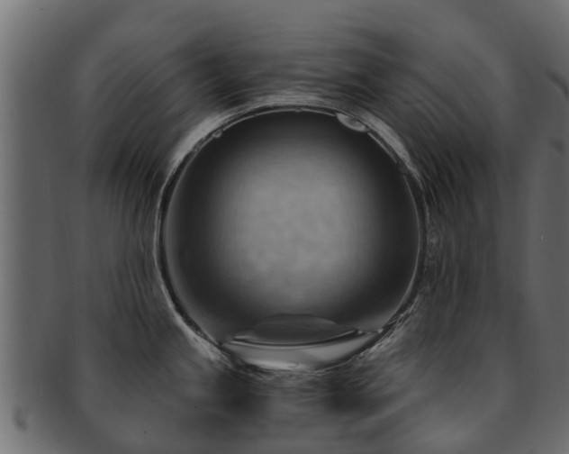 X0000093111245200709261244