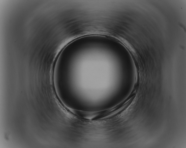 X0000093111246200709261244