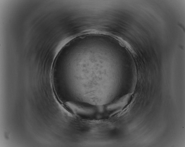 X0000093111247200709261244