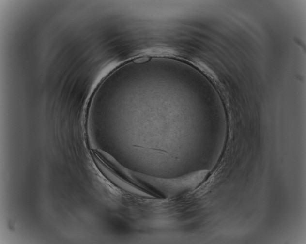X0000093111248200709261244
