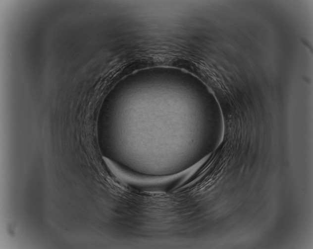 X0000093111249200709261244