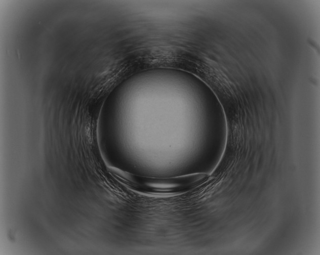 X0000093111250200709261244