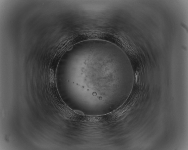 X0000093111251200709261244