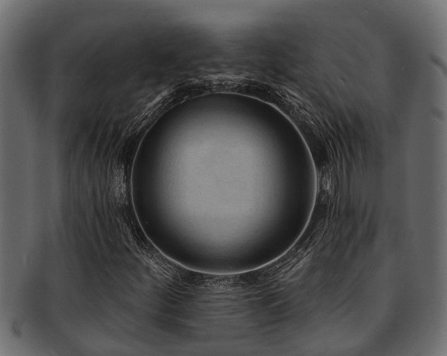 X0000093111252200709261244