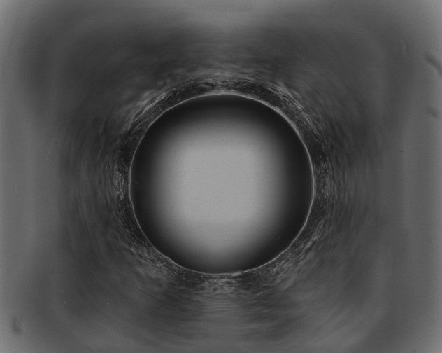 X0000093111253200709261243