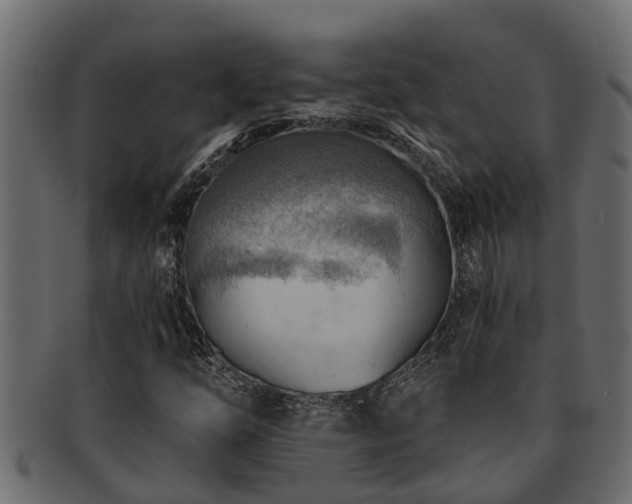 X0000093111254200709261243