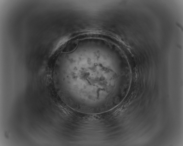 X0000093111255200709261243