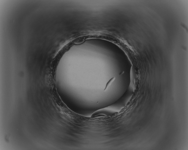X0000093111256200709261243