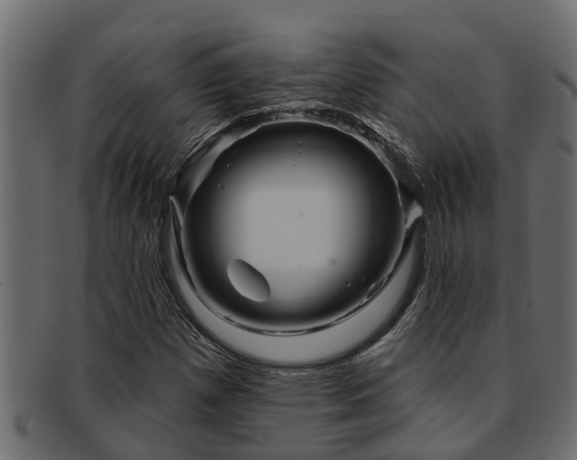 X0000093111257200709261243