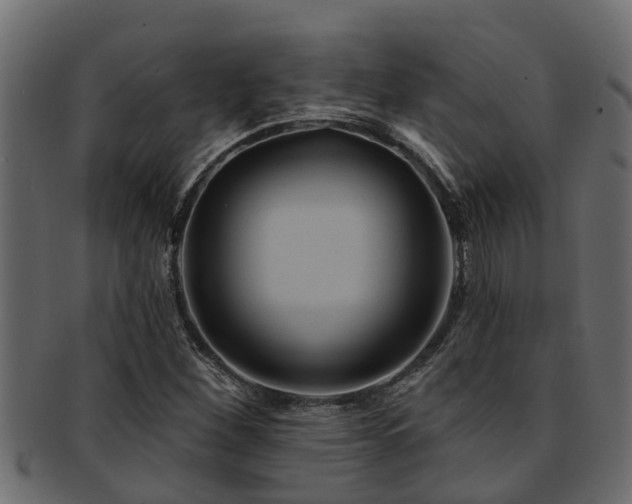 X0000093111260200709261243