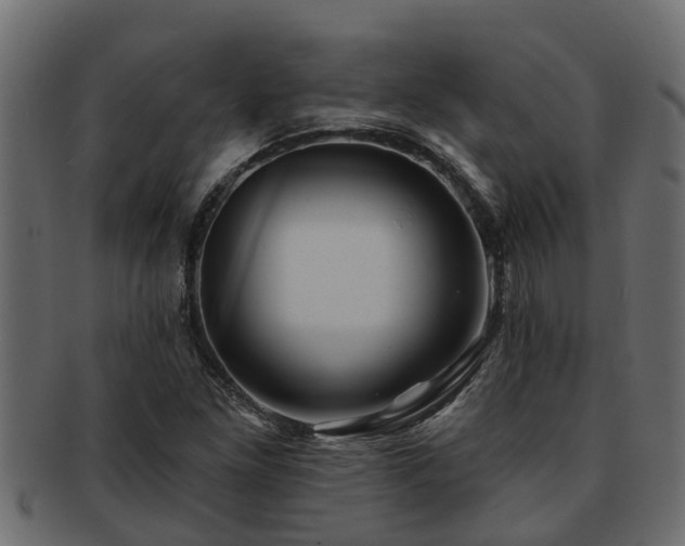 X0000093111261200709261243