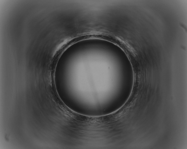 X0000093111262200709261243