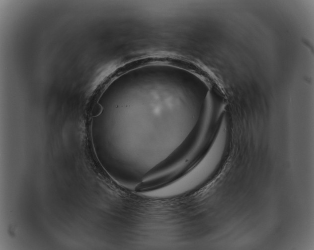 X0000093111263200709261243