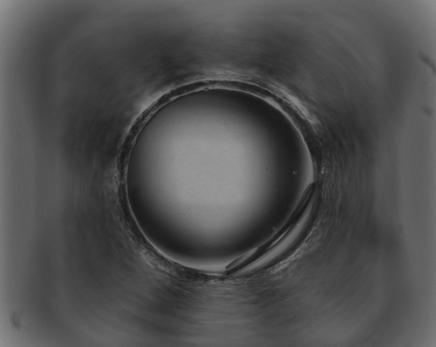 X0000093111264200709261243
