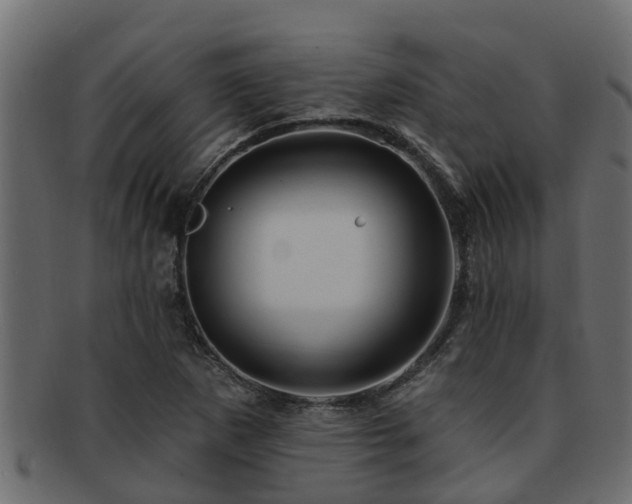 X0000093111265200709261243