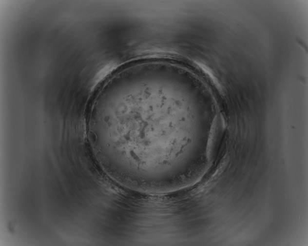 X0000093111267200709261243