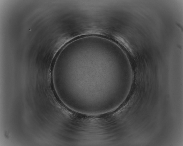 X0000093111268200709261243