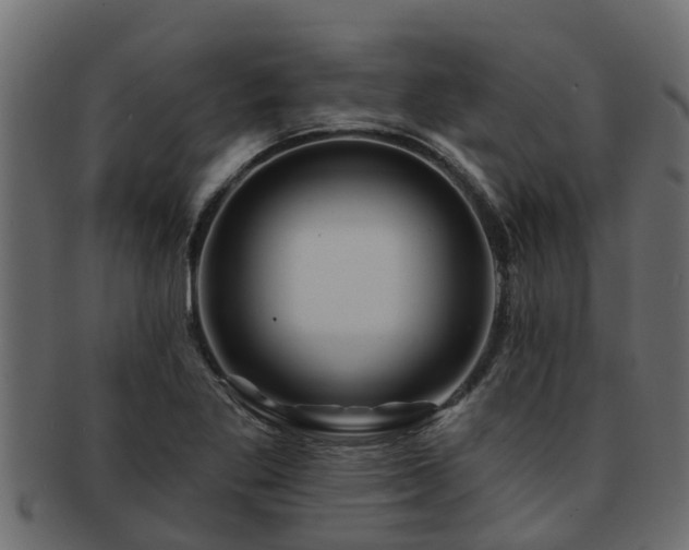 X0000093111269200709261243