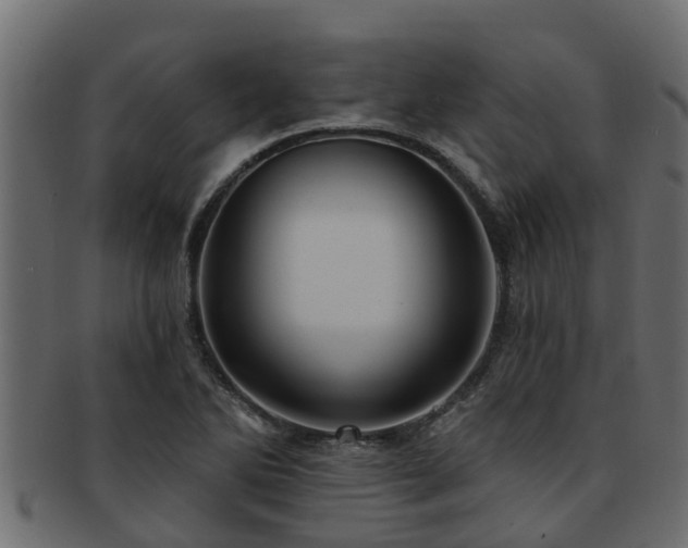 X0000093111270200709261243