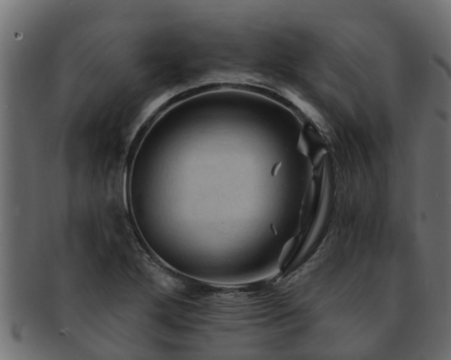 X0000093111272200709261243