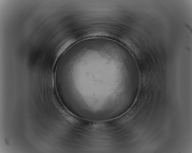 X0000093111274200709261243