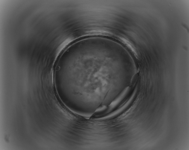 X0000093111275200709261243