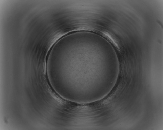 X0000093111276200709261243
