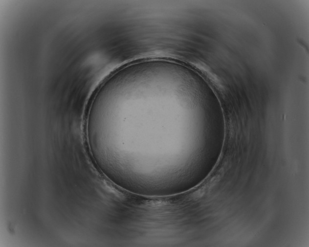 X0000093111278200709261243