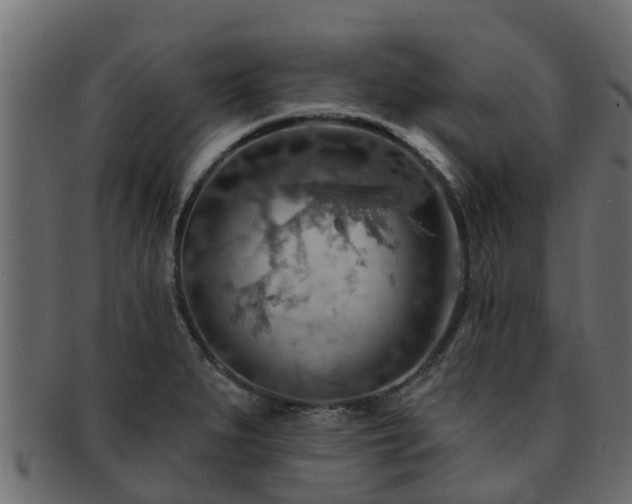X0000093111279200709261243