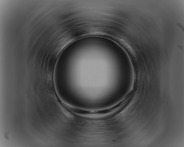 X0000093111281200709261243