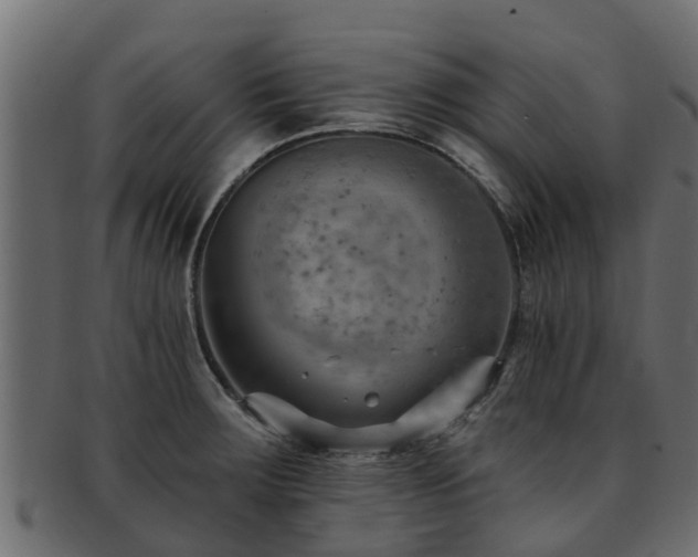 X0000093111283200709261243