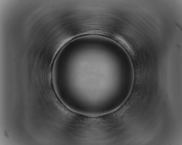 X0000093111284200709261243