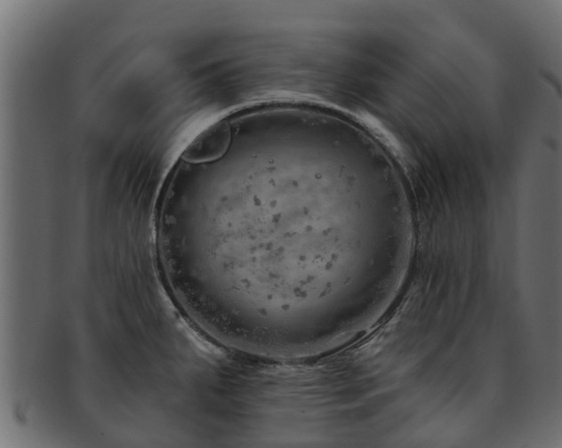 X0000093111287200709261243